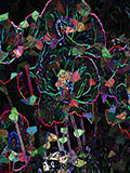 tp3830